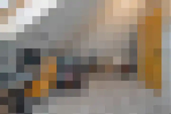 Kievit 58 Wijhe thumbnail 45