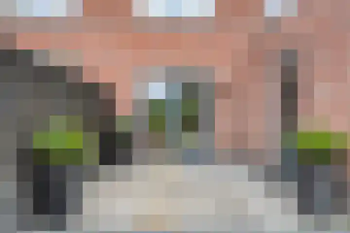 Kievit 58 Wijhe thumbnail 48