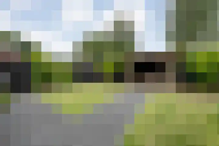 Kievit 58 Wijhe thumbnail 49