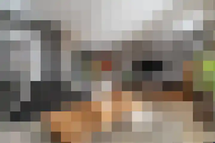 Kievit 58 Wijhe thumbnail 5