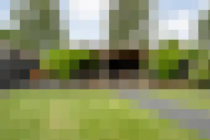 Kievit 58 Wijhe thumbnail 50