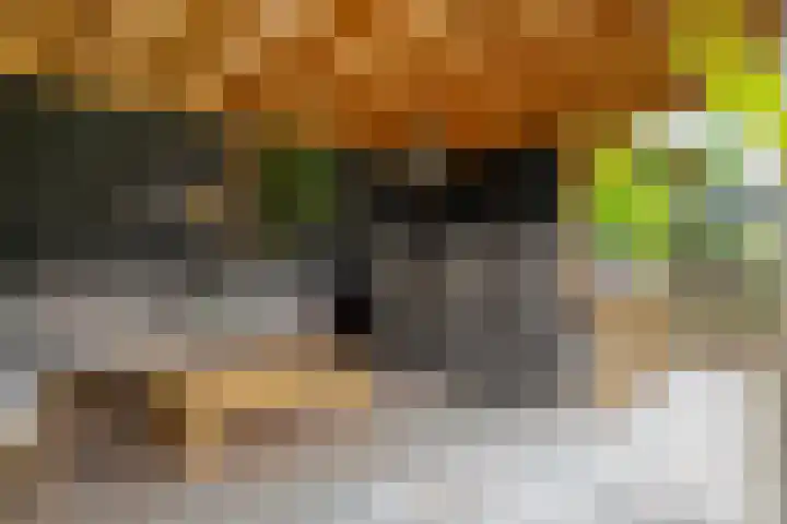 Kievit 58 Wijhe thumbnail 52