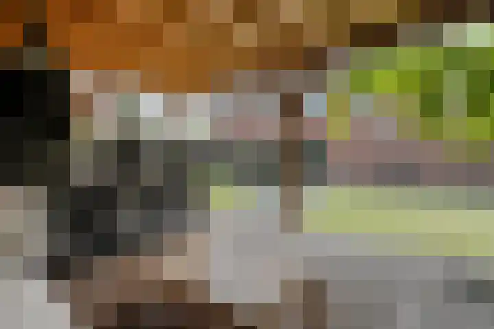 Kievit 58 Wijhe thumbnail 53