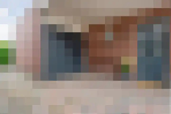 Kievit 58 Wijhe thumbnail 55