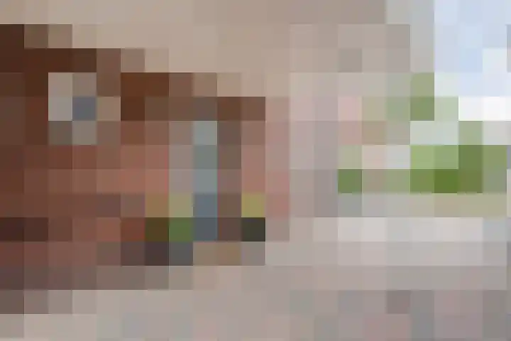 Kievit 58 Wijhe thumbnail 56