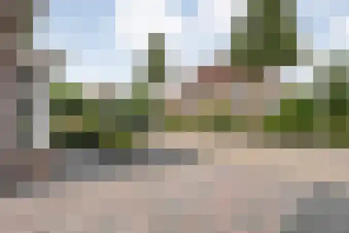 Kievit 58 Wijhe thumbnail 57