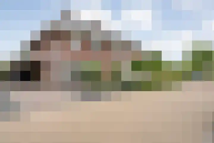 Kievit 58 Wijhe thumbnail 59