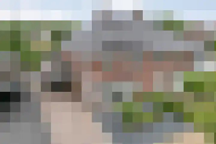 Kievit 58 Wijhe thumbnail 60