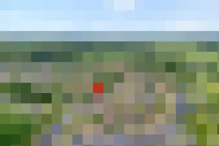 Kievit 58 Wijhe thumbnail 61