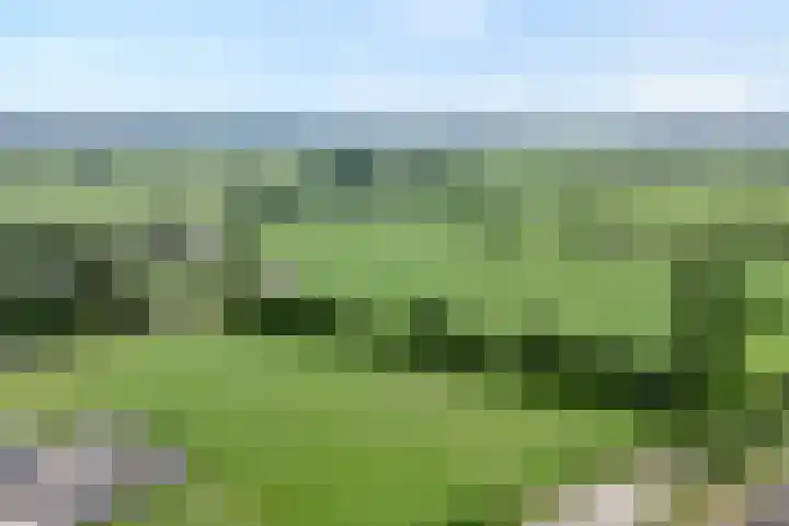 Kievit 58 Wijhe thumbnail 62