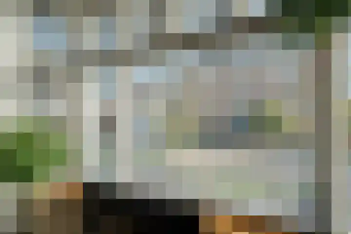 Kievit 58 Wijhe thumbnail 7