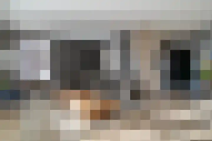 Kievit 58 Wijhe thumbnail 8