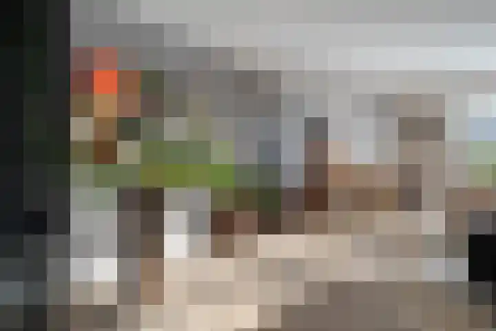 Kievit 58 Wijhe thumbnail 9