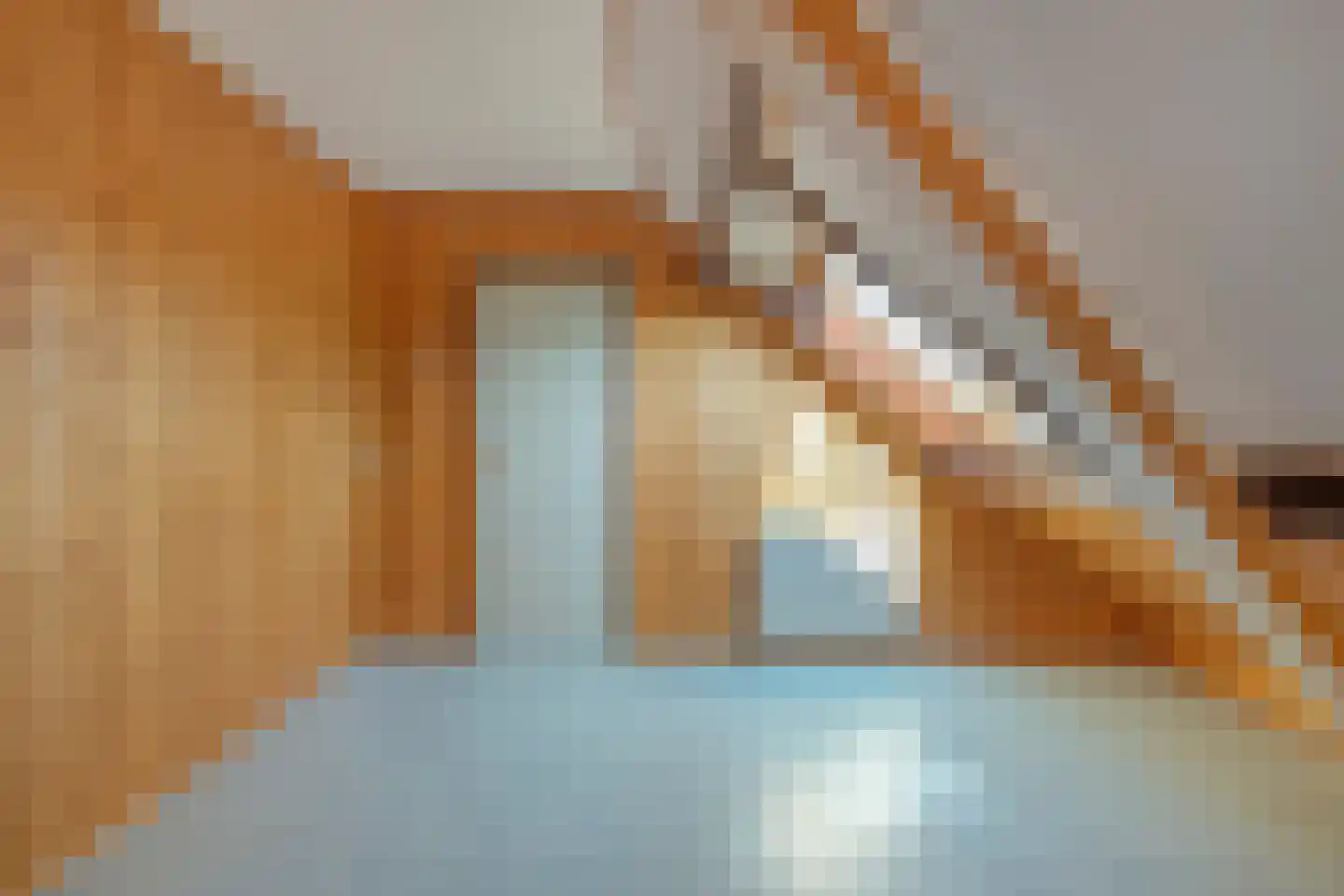 Kievit 60 Hoogvliet Rotterdam thumbnail 22