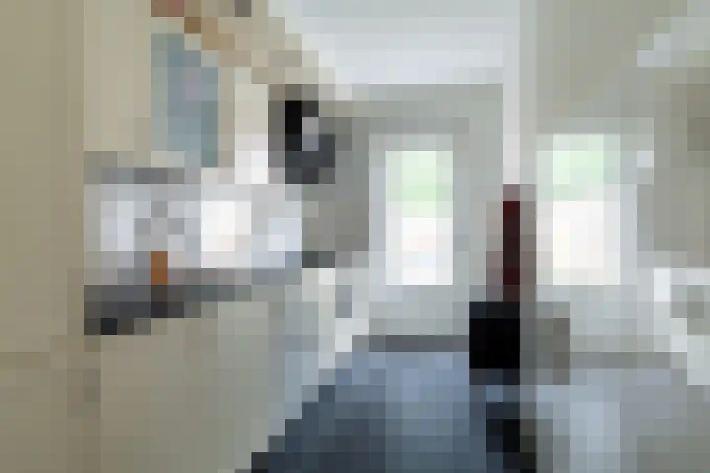 Kievit 60 Sprang-Capelle thumbnail 10