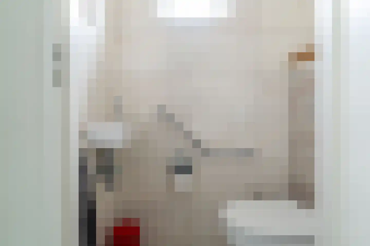Kievit 60 Sprang-Capelle thumbnail 12