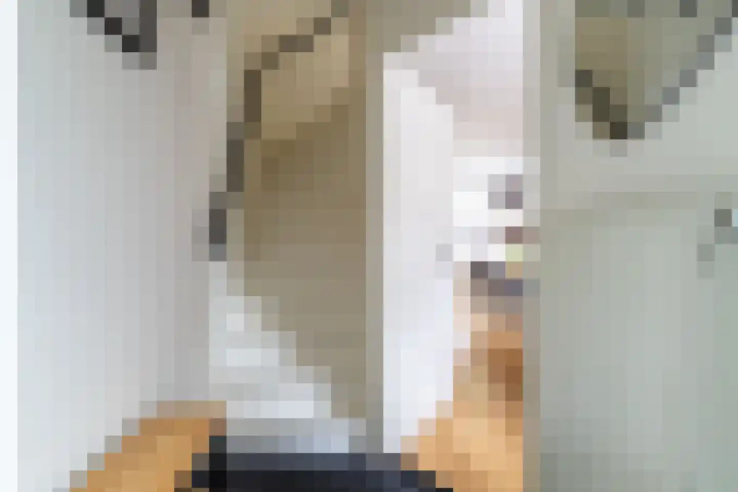 Kievit 60 Sprang-Capelle thumbnail 13