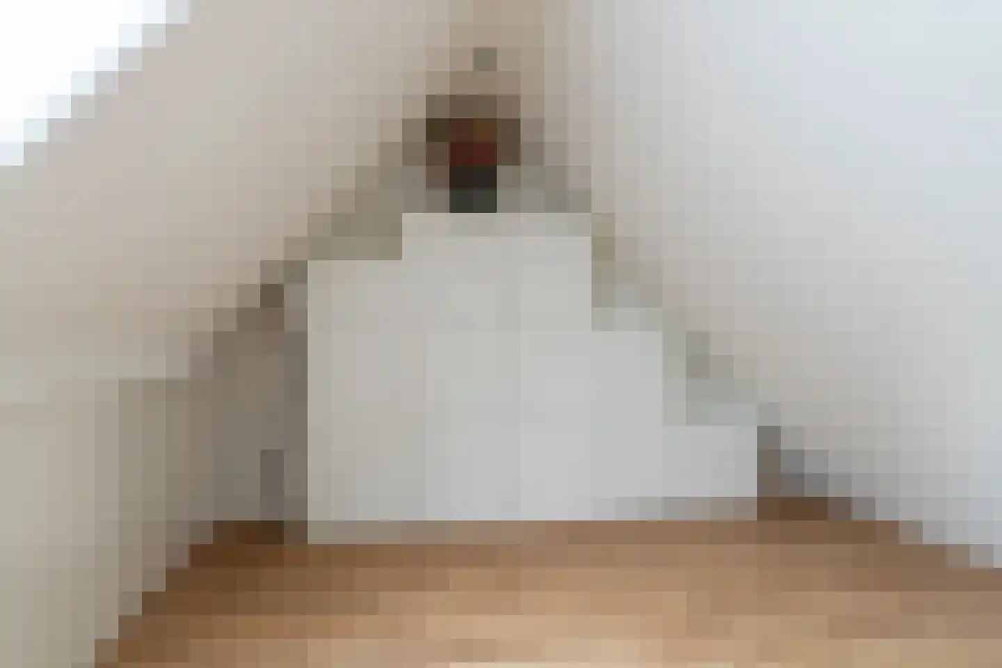 Kievit 60 Sprang-Capelle thumbnail 19