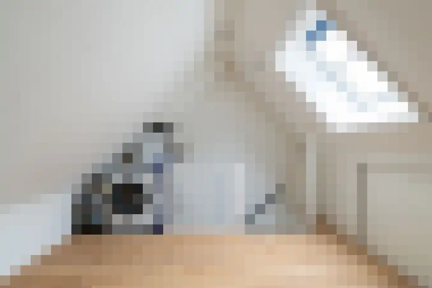 Kievit 60 Sprang-Capelle thumbnail 20