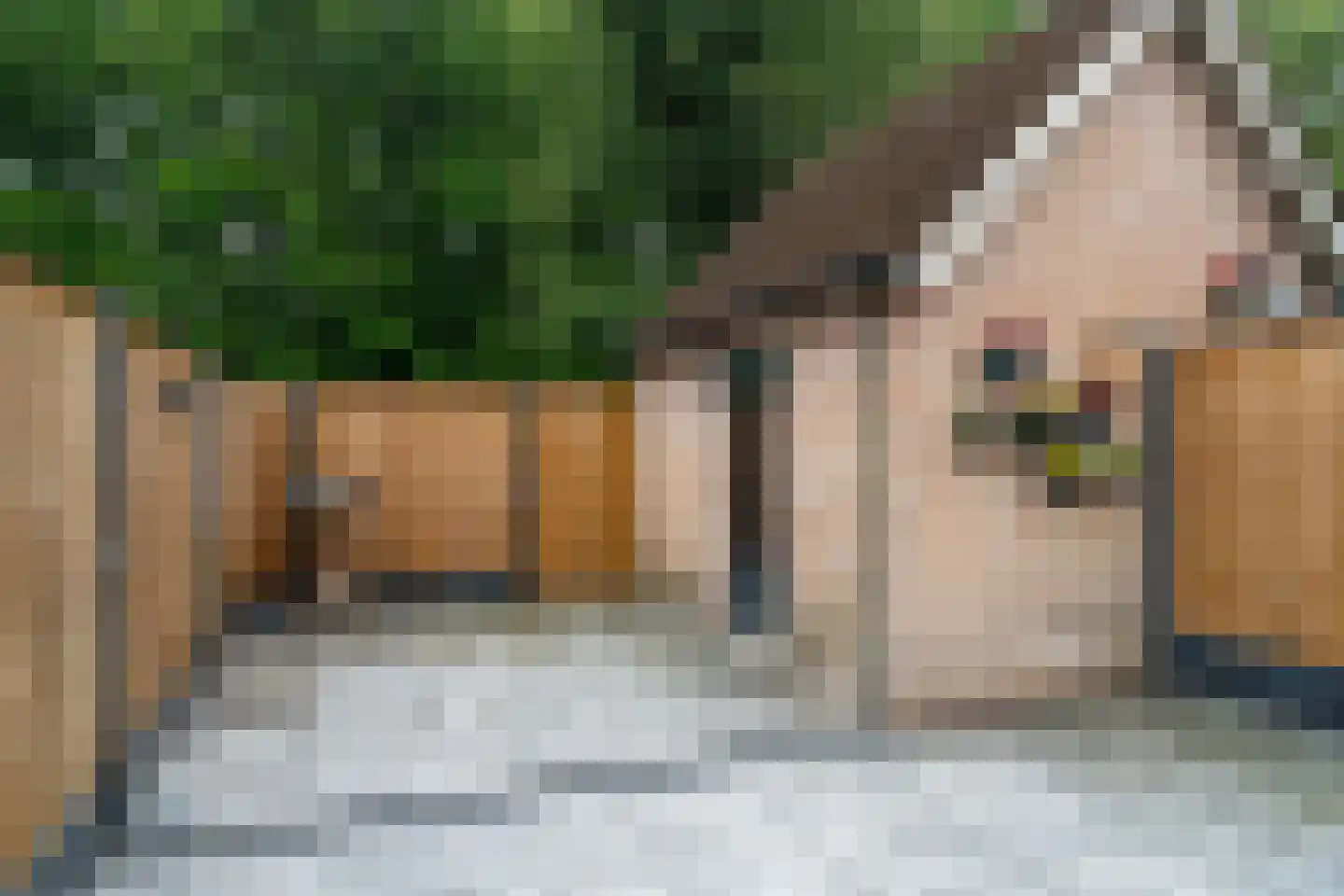 Kievit 60 Sprang-Capelle thumbnail 22