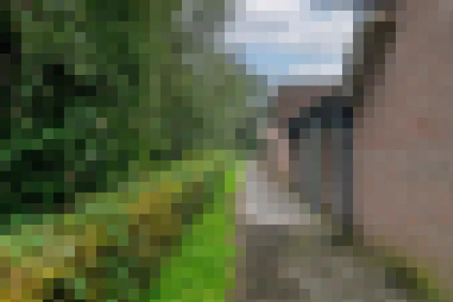 Kievit 60 Sprang-Capelle thumbnail 23