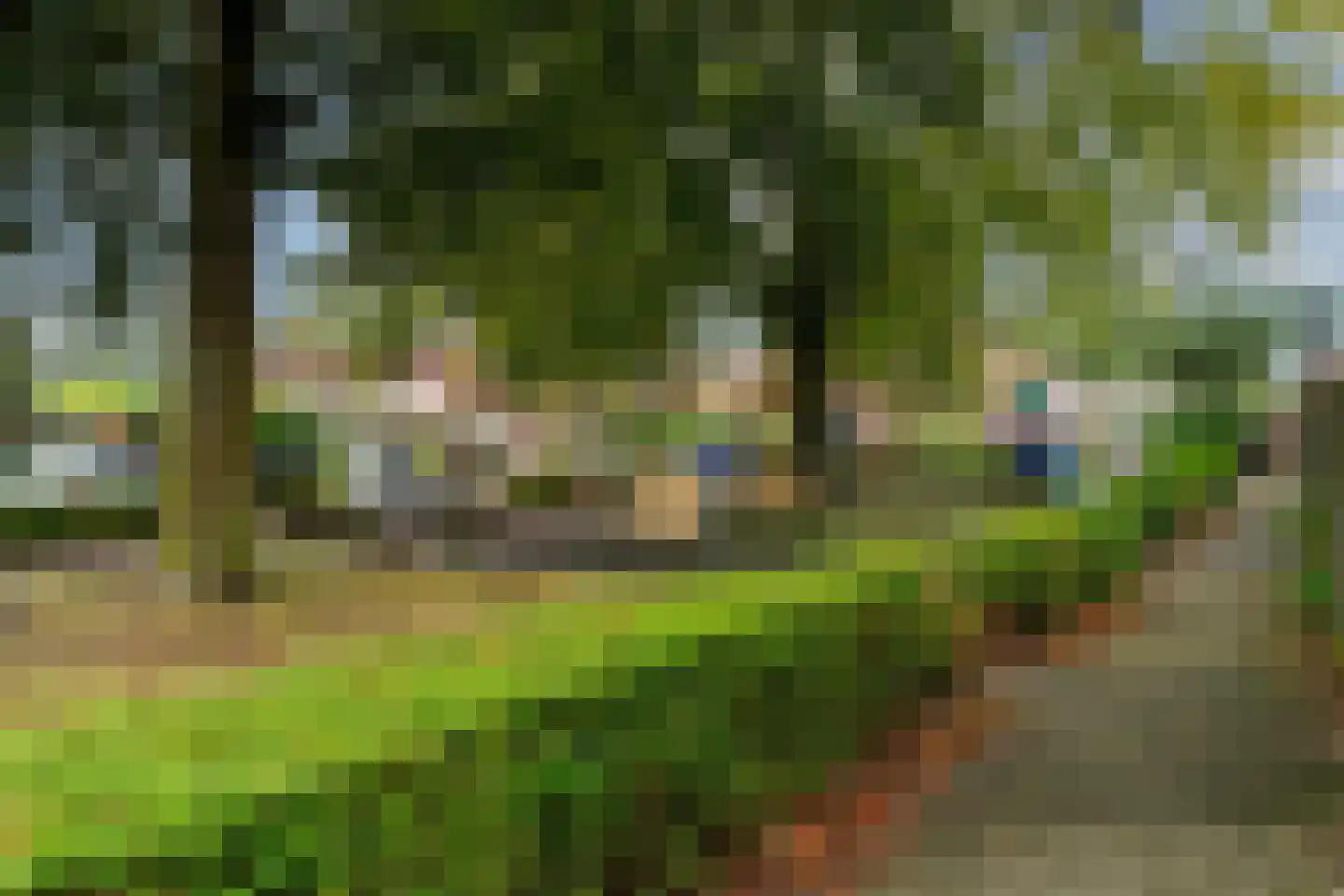Kievit 60 Sprang-Capelle thumbnail 5