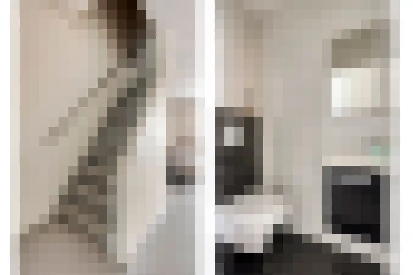 Kievit 63 Oss thumbnail 7