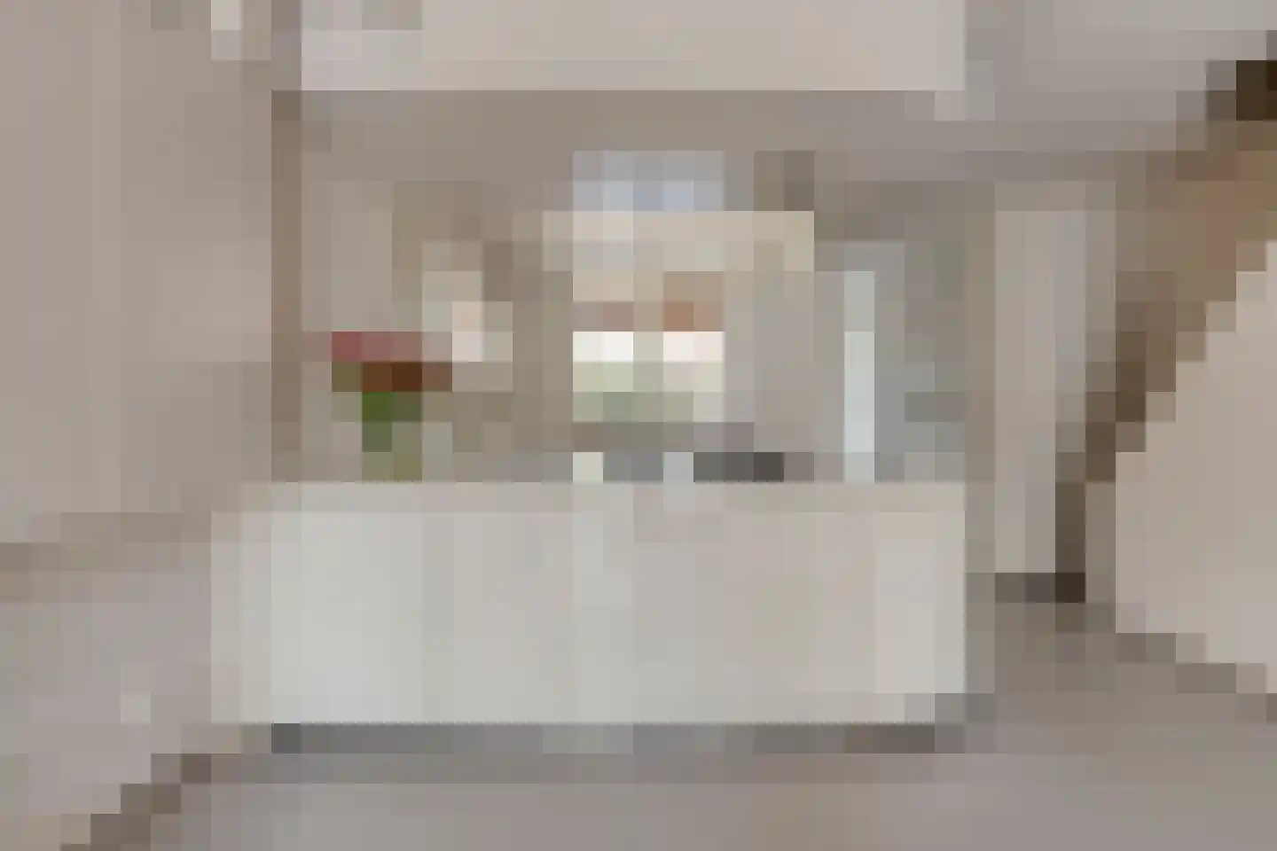 Kievit 63 Oss thumbnail 8