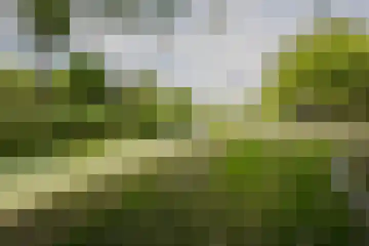 Kievit 64 Hoogvliet Rotterdam thumbnail 16