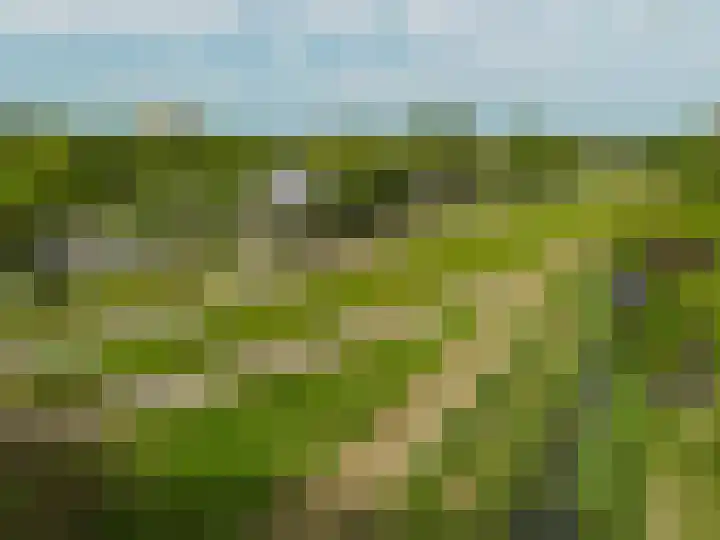 Kievit 64 Hoogvliet Rotterdam thumbnail 17