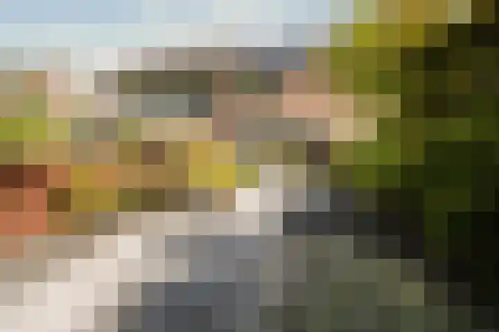 Kievit 64 Hoogvliet Rotterdam thumbnail 19