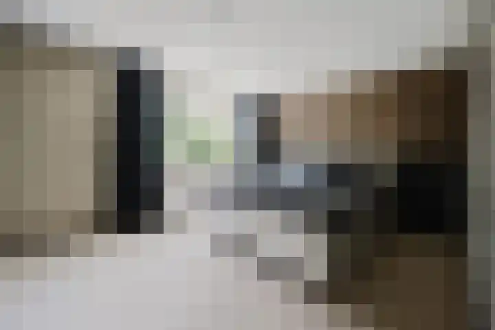 Kievit 64 Hoogvliet Rotterdam thumbnail 26