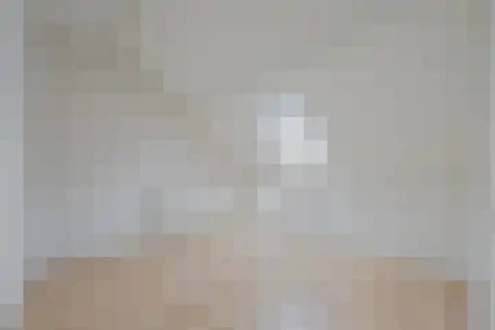 Kievit 64 Hoogvliet Rotterdam thumbnail 32