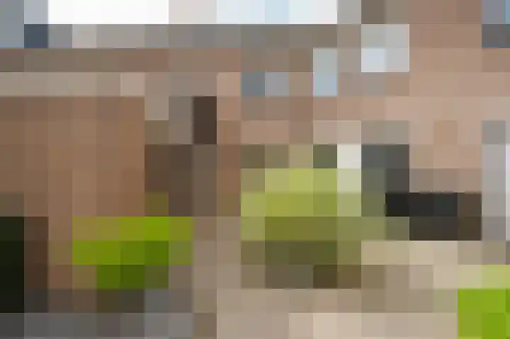 Kievit 64 Hoogvliet Rotterdam thumbnail 35