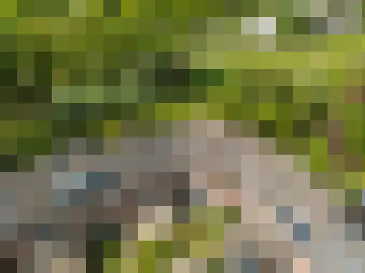 Kievit 64 Hoogvliet Rotterdam thumbnail 6