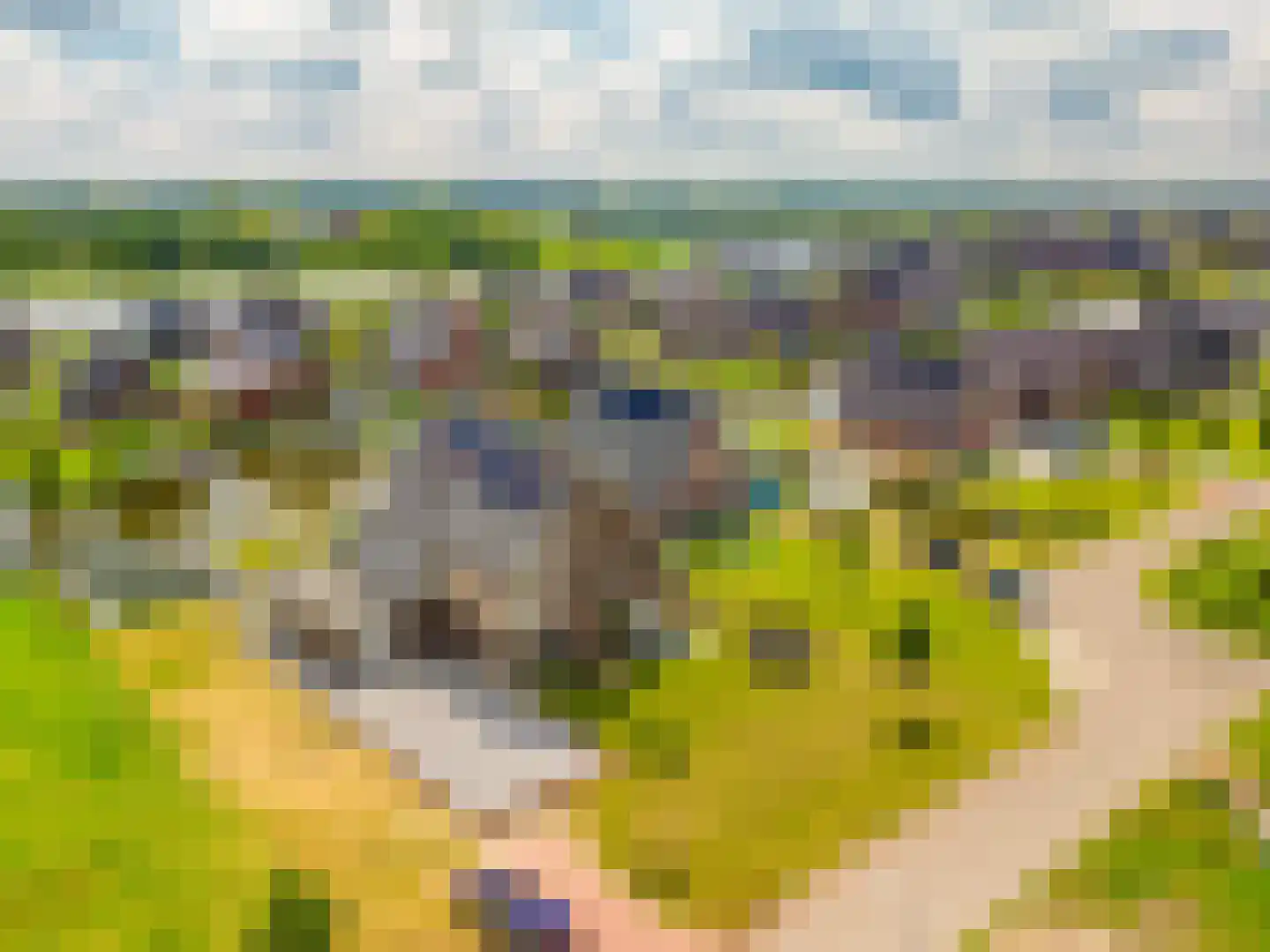 Kievit 68 in Blauwestad