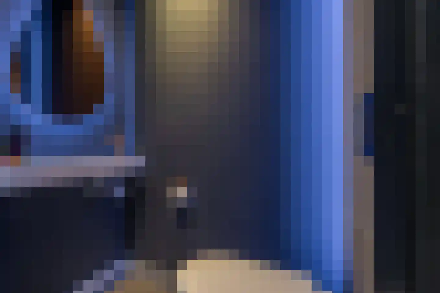 Kievit 68 Blauwestad thumbnail 11