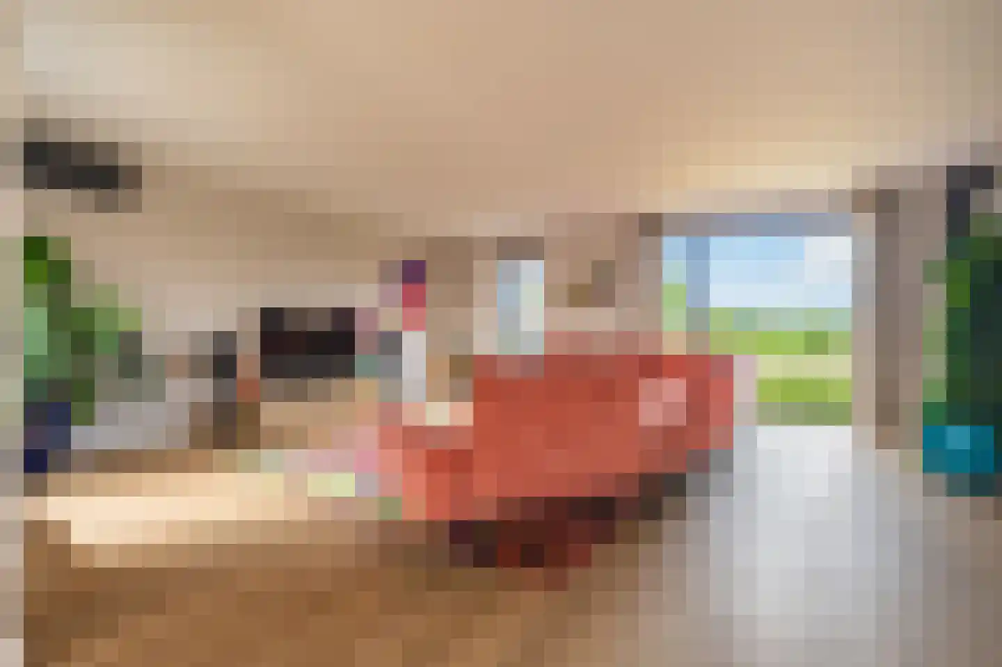 Kievit 68 Blauwestad thumbnail 18