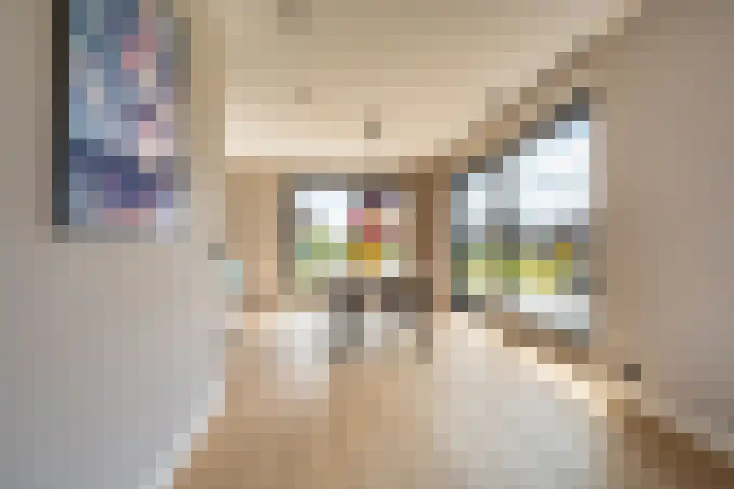 Kievit 68 Blauwestad thumbnail 28