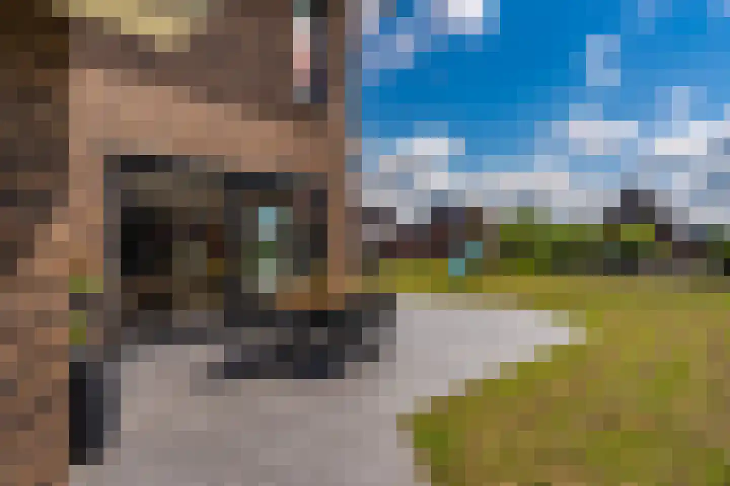 Kievit 68 Blauwestad thumbnail 4