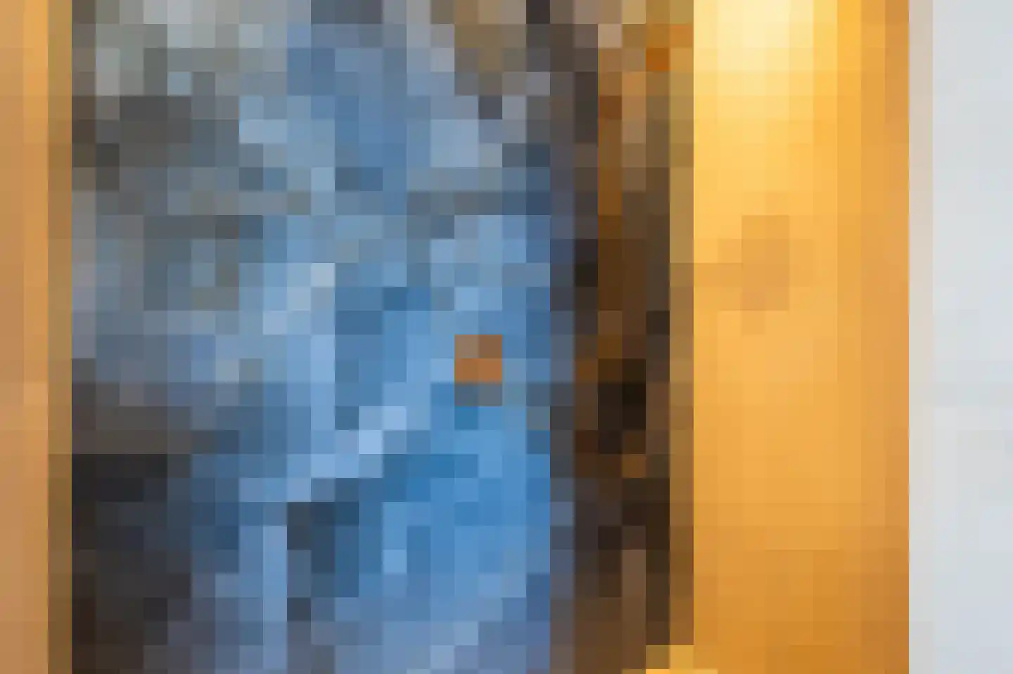 Kievit 68 Blauwestad thumbnail 55
