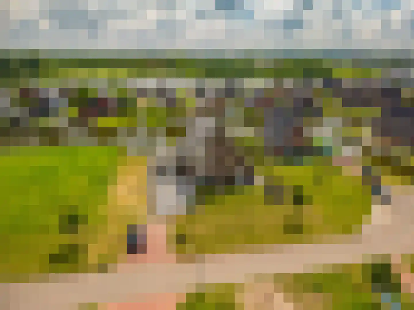 Kievit 68 Blauwestad thumbnail 6