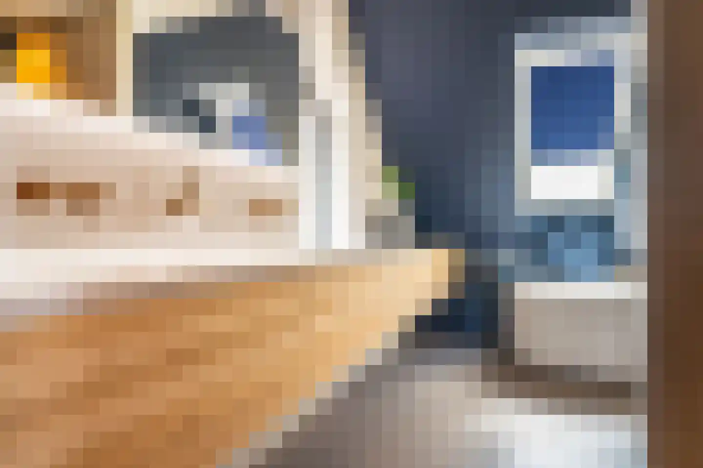 Kievit 68 Blauwestad thumbnail 61