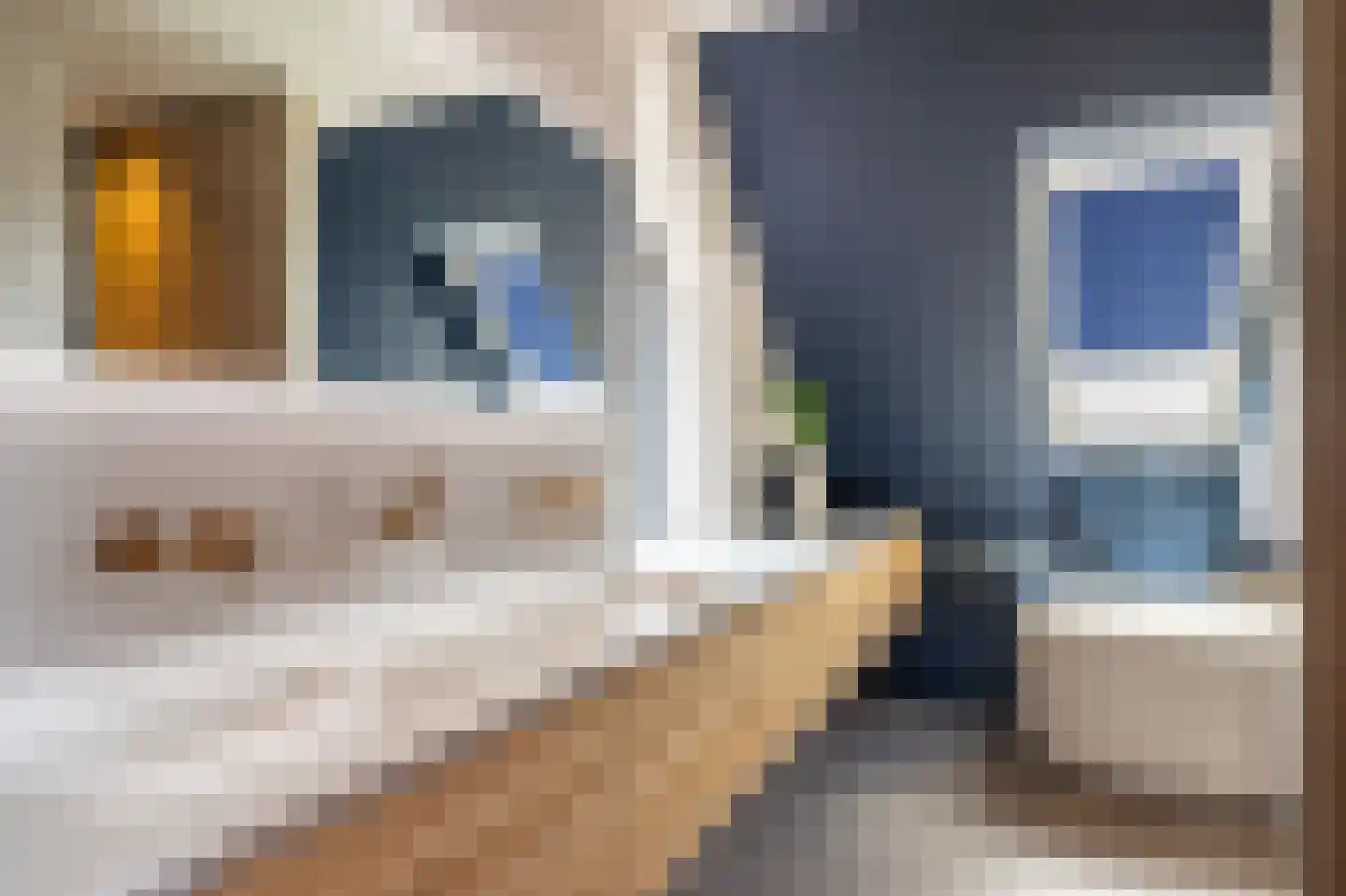 Kievit 68 Blauwestad thumbnail 62