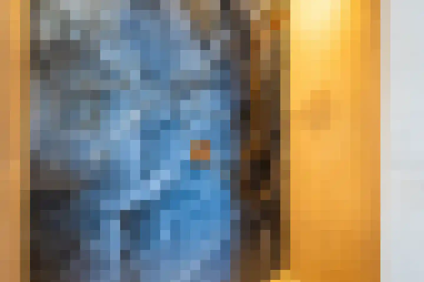 Kievit 68 Blauwestad thumbnail 65