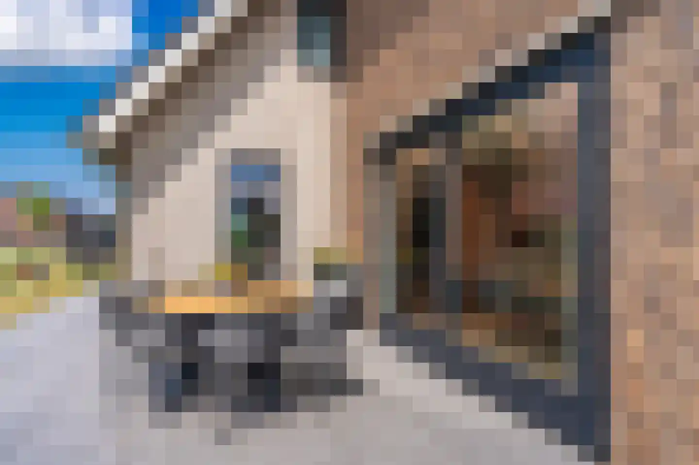 Kievit 68 Blauwestad thumbnail 76