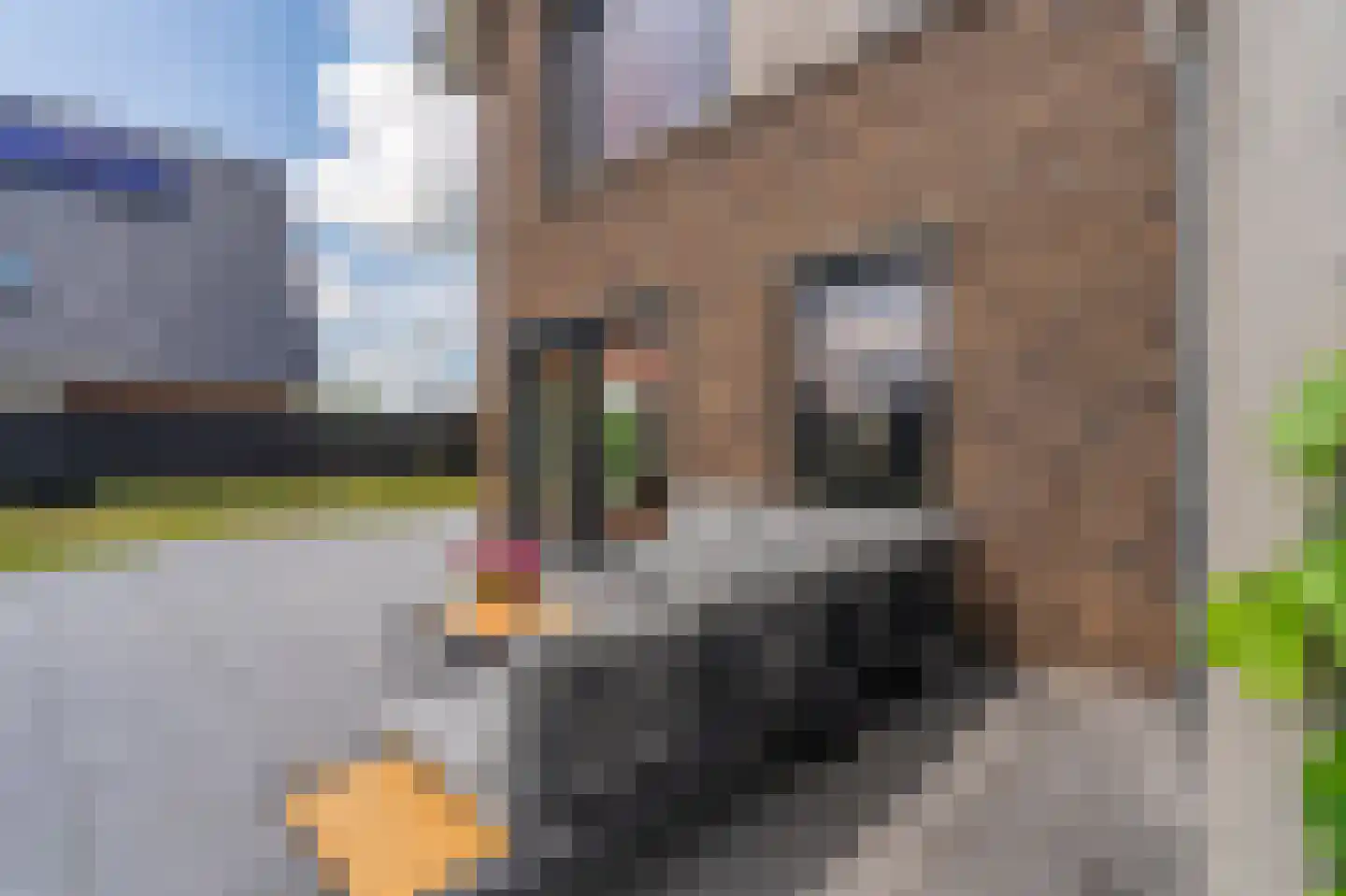 Kievit 68 Blauwestad thumbnail 79