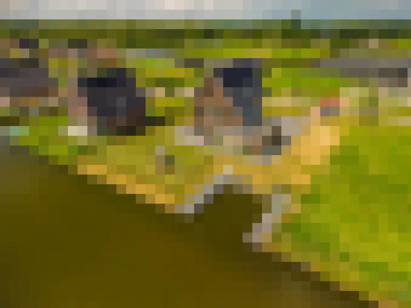 Kievit 68 Blauwestad thumbnail 89