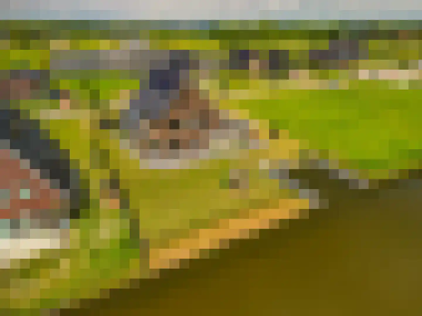 Kievit 68 Blauwestad thumbnail 90