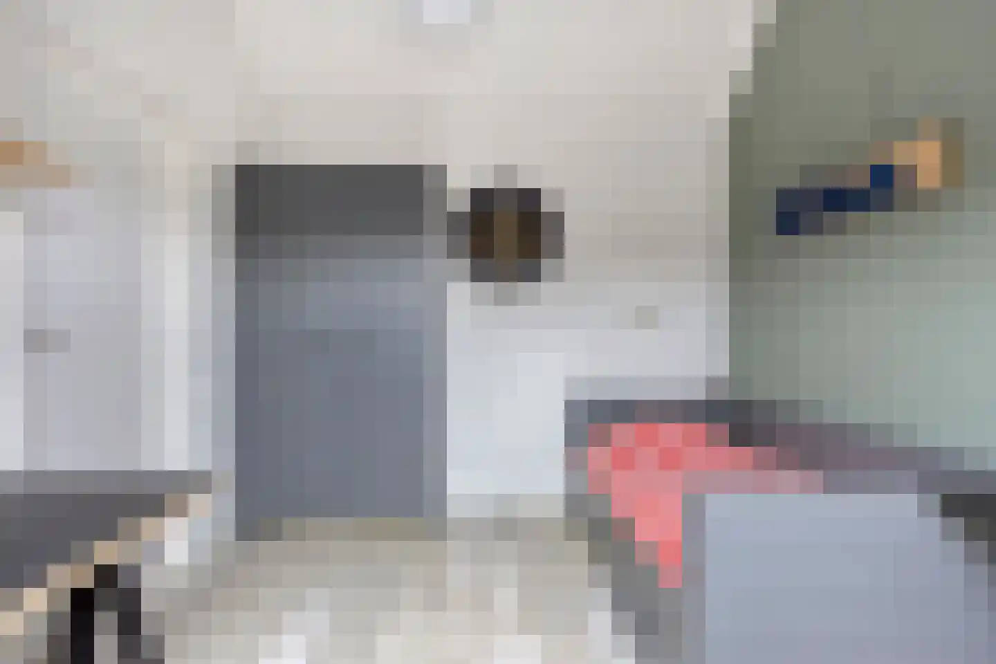 Kievit 7 Bunschoten-Spakenburg thumbnail 27